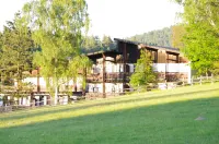 Waldhotel Bächlein Hotels in Neustadt