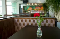 Hotel Red & Green - Quầy bar