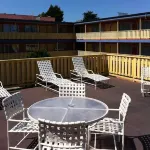 벡스 모터 로지