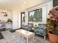 Americas Best Value Inn Lincoln Hotels near Abel Stadium