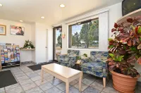 Americas Best Value Inn Lincoln Hotels in Stevens Creek