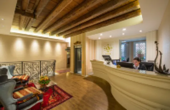 هوتل أل فيفيت