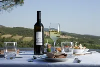 Tenuta Ponziani Hotels in Orvieto
