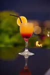 Palmetto Hotel Business San Miguel - bar