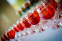 Hotel Amazonka Conference and Spa Hotels in Ciechocinek