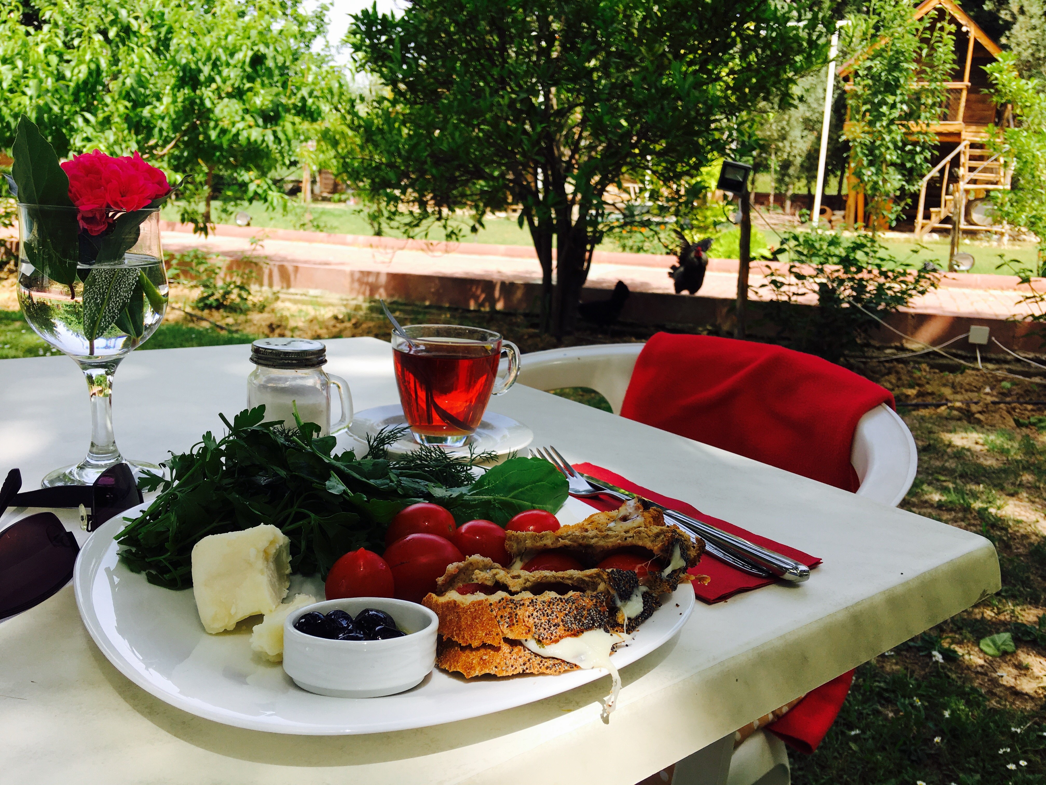 Mursel Pansiyon Garden Hotel (Mursel Pension Garden Hotel)