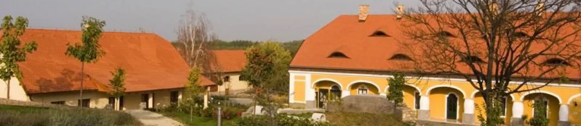 Gehobene Hotels 