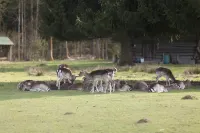 Forsthaus Wornbrunn Hotels in Baierbrunn