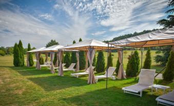 a group of white lounge chairs and a gazebo in a grassy field , under a cloudy sky at Hotel Golf Chateau de Chailly