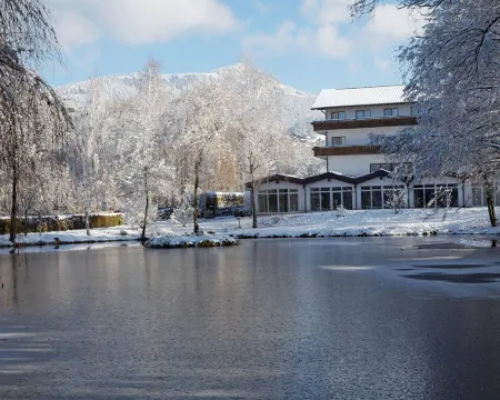 Hotel Zum Hirschen Hotels in Lam