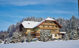 Schwarzwald Hotel Silberkoenig