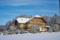 Silberkönig Schwarzwald Hotel & Restaurant Ringhotel Hotels in Elzach