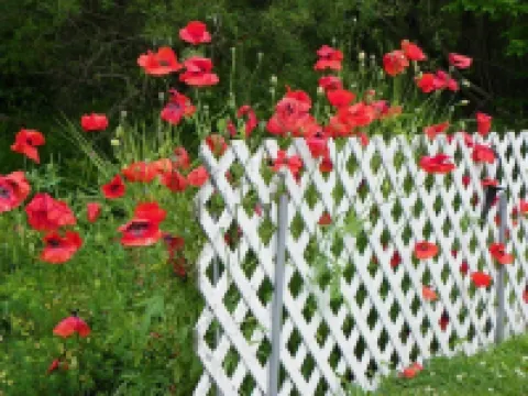 Homeport Motel Hotels in Lunenburg County