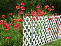 Homeport Motel Hotels in Lunenburg County