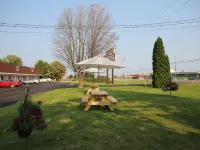 Country Squire Motel Hotels in Arnprior