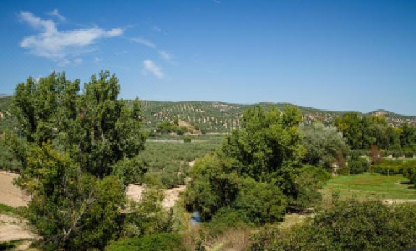 Hostal Rural el Nacimiento - Housity