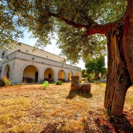 La Piana degli Ulivi