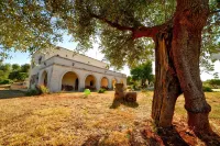 La Piana degli Ulivi