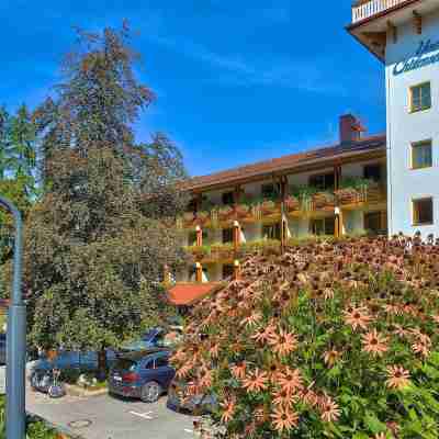 Yachthotel Chiemsee Gmbh Hotel Exterior