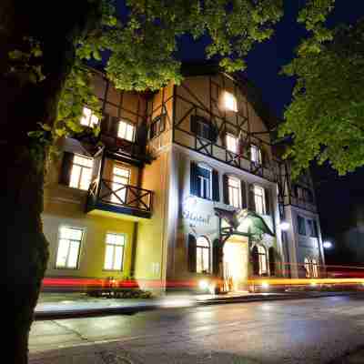 Hotel Triglav Hotel Exterior