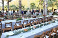 Selvi Beach Hotel Hotels in Golturkbuku