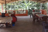 Yellow House