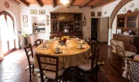 Agriturismo Podere Caggiolo - Swimming Pool & Air Conditioning Hotels in Monte San Savino