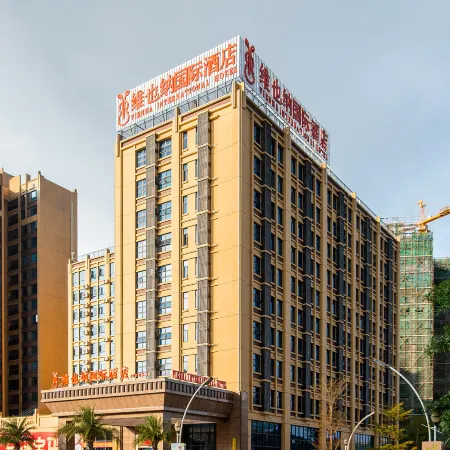 Vienna International Hotel (Yangxifuda)