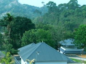 Moon hill munnar