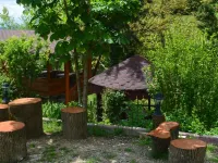 Küre Dağ Evi Ulus otelleri