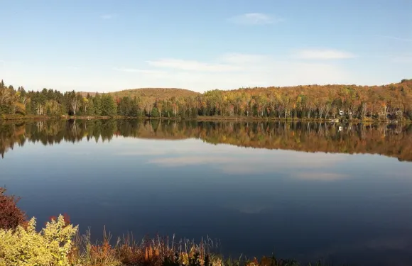 賽麗尼塔Spa旅館