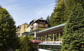 Alpenhotel Gösing