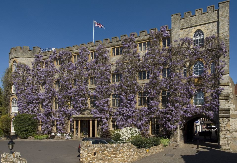 a large stone building with purple vines growing on its walls , creating a picturesque scene at Castle Hotel