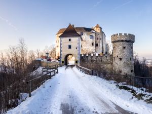 Burg Plankenstein