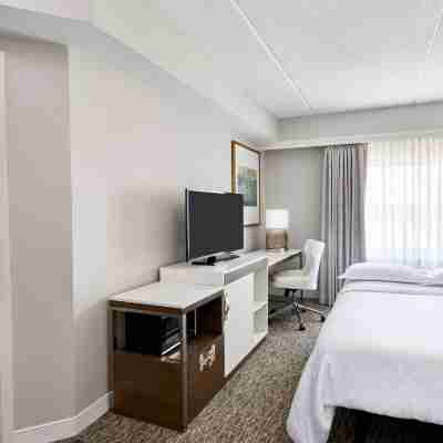Sheraton Jacksonville Hotel Rooms