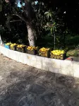 Tenuta Gli Agrumi del Salento