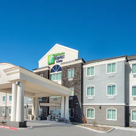 Holiday Inn Express & Suites MONAHANS I-20 by IHG