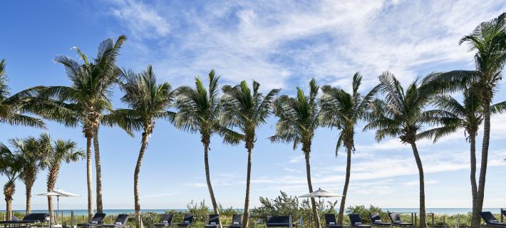 Carillon Miami Wellness Resort Hotels in Miami Beach