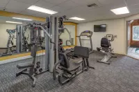 La Quinta Inn & Suites by Wyndham Visalia/Sequoia Gateway - Gym