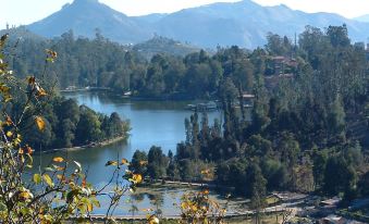 Hill Heaven Home Stay