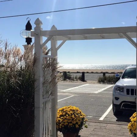 The Ocean View