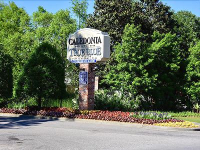 Surroundings #4B True Blue - 2 Br Condo by RedAwning Photo