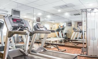 Comfort Suites Rock Hill Manchester Meadows Area