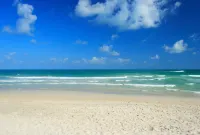 The Library - 5 stjerner