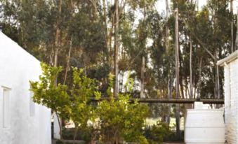 a small white house surrounded by trees , with a swimming pool in front of it at The White House