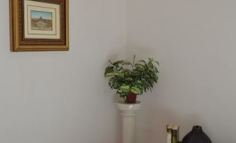 One Bedroom Appartement with Furnished Garden and Wifi at Sorrento 1 km Away from the Beach