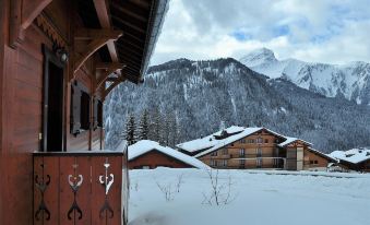 Les Montagnards - Chalet - BO Immobilier