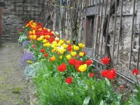 Pension Marienhof Hotel a 