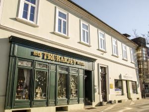 Family Boutique Hotel Trubarjev