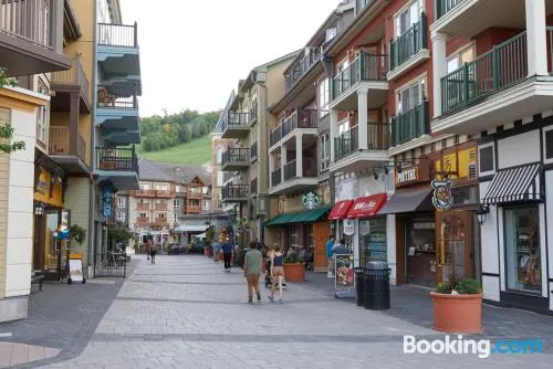 藍山美麗山區一室公寓